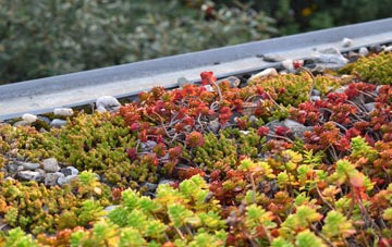 the cost of Dudlows Green green roof installation