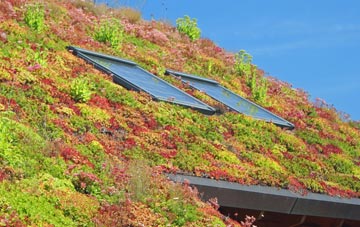 Dudlows Green living roof systems