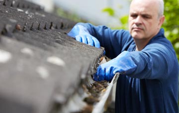 cleaning and inspecting Dudlows Green roofs