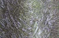 Dudlows Green fibreglass roof work